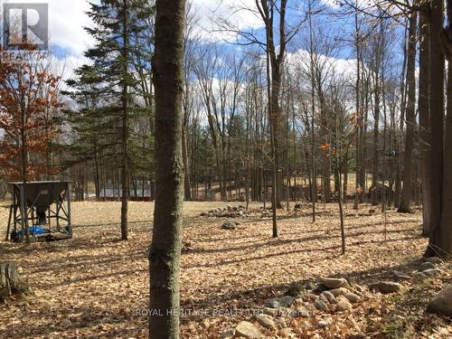 6677 Concession 2 Road, Uxbridge, ON 