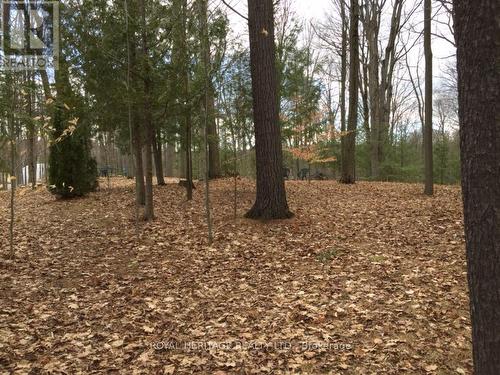 6677 Concession 2 Road, Uxbridge, ON 