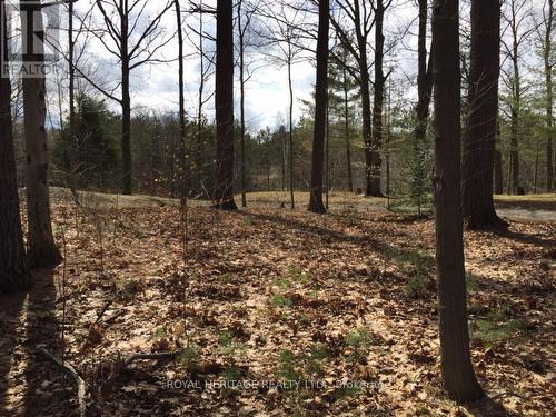 6677 Concession 2 Road, Uxbridge, ON 