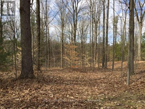 6677 Concession 2 Road, Uxbridge, ON 