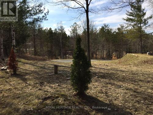6677 Concession 2 Road, Uxbridge, ON 
