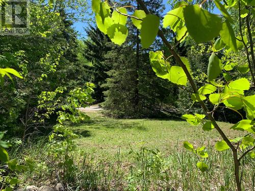 6677 Concession 2 Road, Uxbridge, ON 