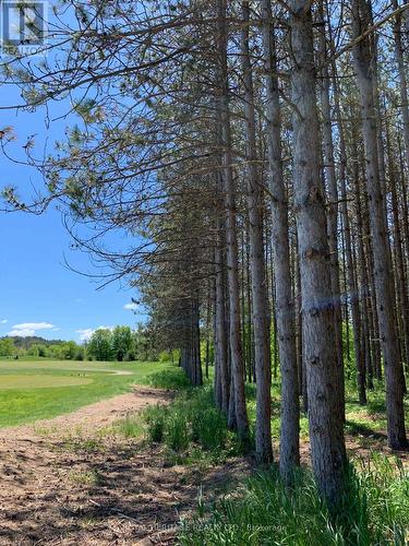 6677 Concession 2 Road, Uxbridge, ON 