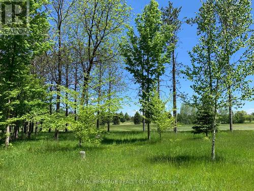 6677 Concession 2 Road, Uxbridge, ON 