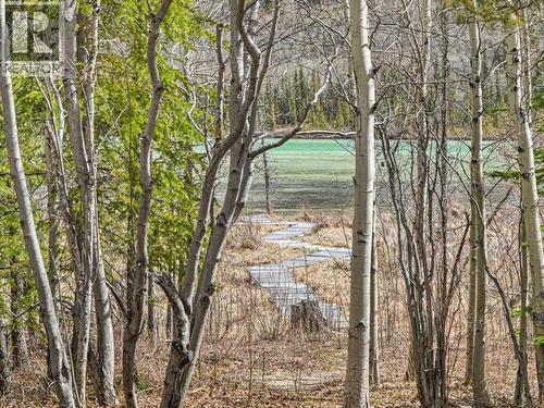 Lot 1197 Spirit Lake, Whitehorse South, YT - Outdoor With View