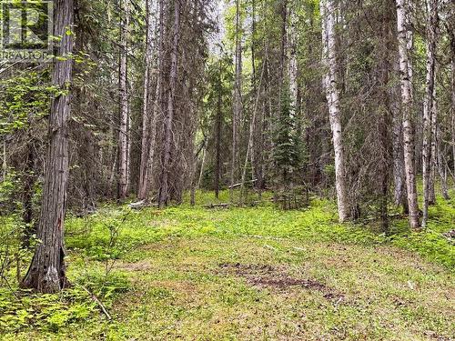 8077 S Canim Lake Road, 100 Mile House, BC 