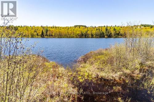0 Corry Lake Road, Laurentian Hills, ON 
