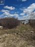 644 Willow Point Way, St. Brieux, SK 