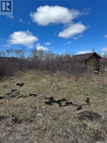 644 Willow Point Way, St. Brieux, SK 