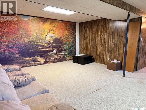 4419 Centre Street, Cadillac, SK - Indoor Photo Showing Basement