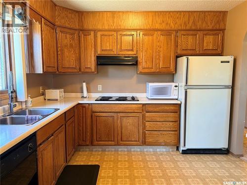 4419 Centre Street, Cadillac, SK - Indoor Photo Showing Kitchen With Double Sink