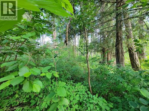 Lot 1 Passmore Old Road, Passmore, BC 