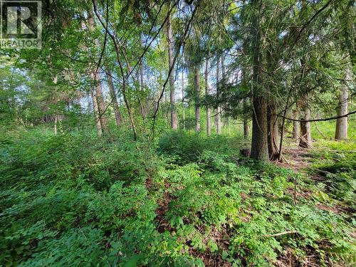 Lot 1 Passmore Old Road, Passmore, BC 