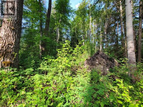 Lot 1 Passmore Old Road, Passmore, BC 