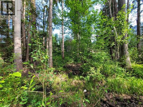 Lot 1 Passmore Old Road, Passmore, BC 