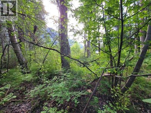 Lot 1 Passmore Old Road, Passmore, BC 