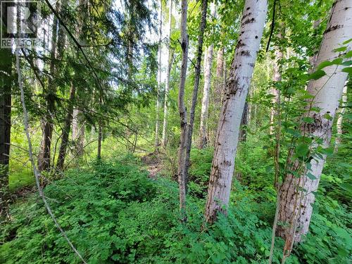 Lot 1 Passmore Old Road, Passmore, BC 