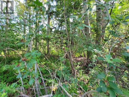 Lot 1 Passmore Old Road, Passmore, BC 