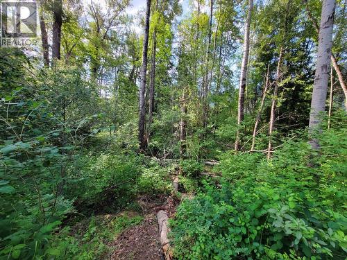 Lot 1 Passmore Old Road, Passmore, BC 