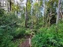 Lot 1 Passmore Old Road, Passmore, BC 