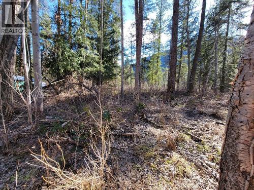 Lot 1 Passmore Old Road, Passmore, BC 