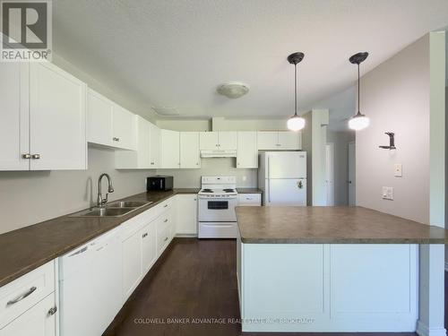 597 First Avenue, Welland (N. Welland), ON - Indoor Photo Showing Kitchen With Double Sink