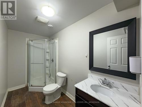 597 First Avenue, Welland (N. Welland), ON - Indoor Photo Showing Bathroom