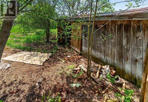 10655 Jellyby Road, Elizabethtown-Kitley, ON - Outdoor
