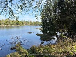 9 SUNNYSHORE PARK DRIVE Mckellar, ON P2A 0B5