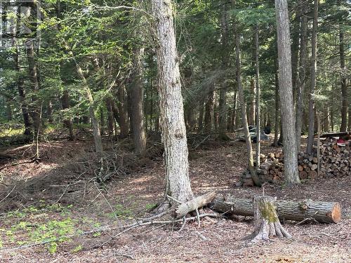 9 Sunnyshore Park Drive, Mckellar, ON 