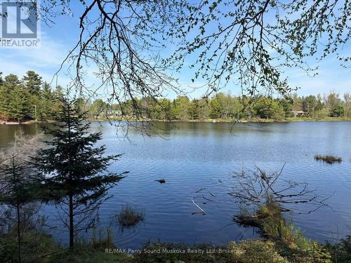 9 Sunnyshore Park Drive, Mckellar, ON 