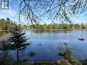 9 Sunnyshore Park Drive, Mckellar, ON 