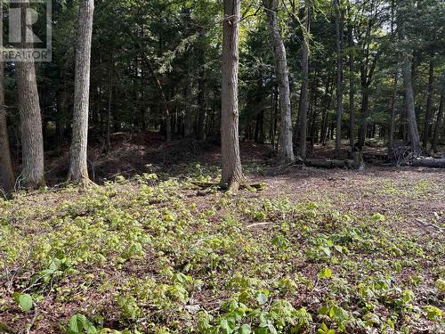 9 Sunnyshore Park Drive, Mckellar, ON 