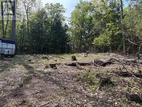 9 Sunnyshore Park Drive, Mckellar, ON 