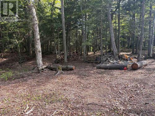 9 Sunnyshore Park Drive, Mckellar, ON 