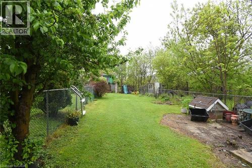 Expansive yard space featuring a manicured lawn area, mature trees, and chain-link fencing - 64 Winnett Street N, Cayuga, ON 