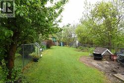 Expansive yard space featuring a manicured lawn area, mature trees, and chain-link fencing - 