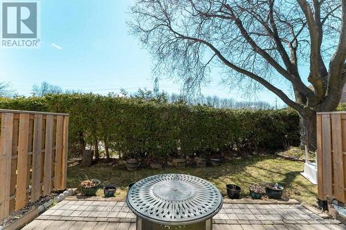 Cedar Hedging for Privacy - 66 - 351 Military Trail, Toronto, ON - Outdoor With Deck Patio Veranda