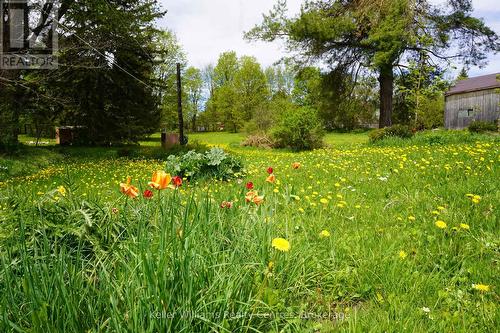 580307 Sideroad 60, Chatsworth, ON - Outdoor