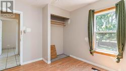 Lower level den with closet - 
