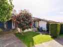 #5-3968 Cedar Hill Rd, Saanich, BC 