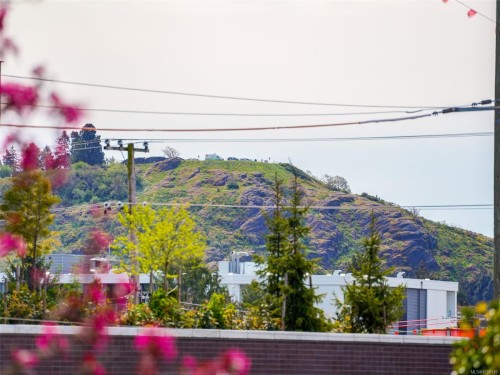 #5-3968 Cedar Hill Rd, Saanich, BC 