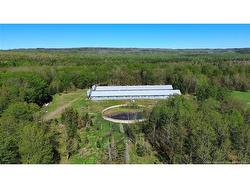 LOT 104 RTE Carlisle, NB E7P 1W8