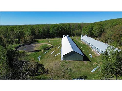 Lot 104 Rte, Carlisle, NB 