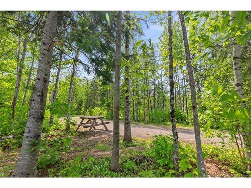 423 Salisbury Back Rd, Salisbury, NB 