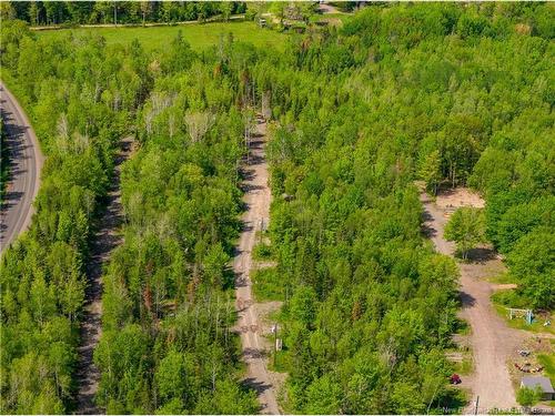 423 Salisbury Back Rd, Salisbury, NB 