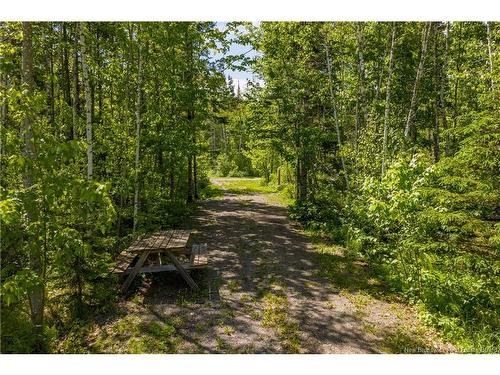 423 Salisbury Back Rd, Salisbury, NB 