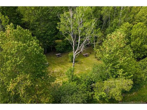423 Salisbury Back Rd, Salisbury, NB 