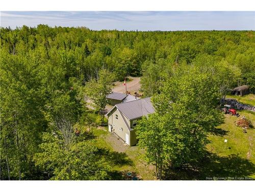 423 Salisbury Back Rd, Salisbury, NB 
