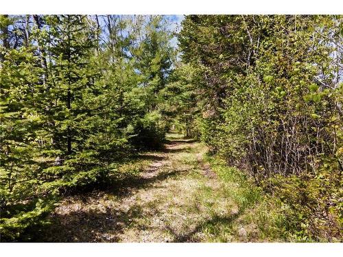 24 Abernethy Rd, Durham Bridge, NB 